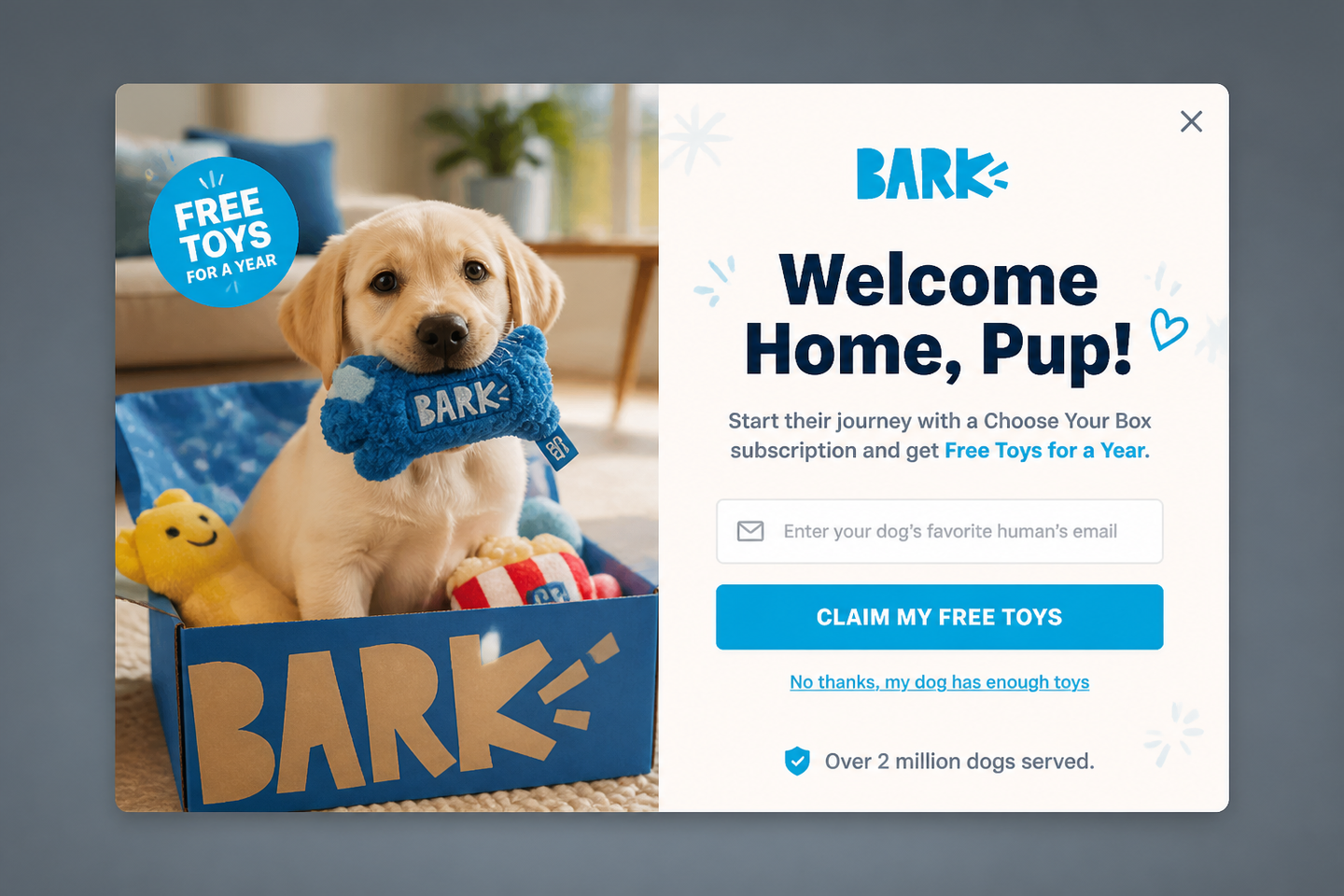 The Puppy Warm Welcome