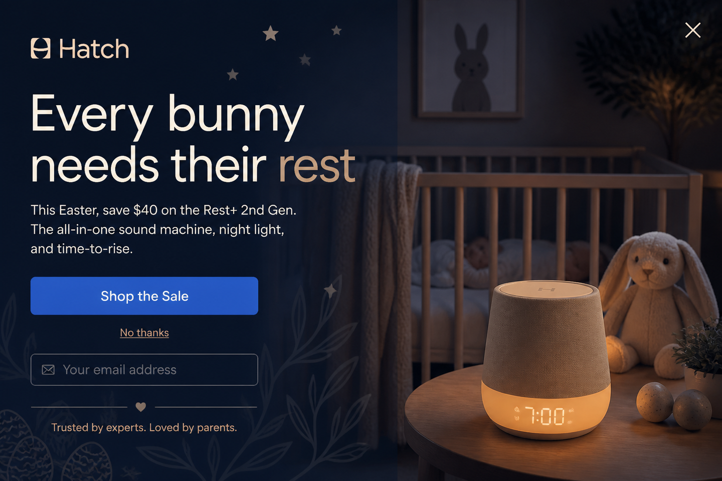 The Sleep Sanctuary