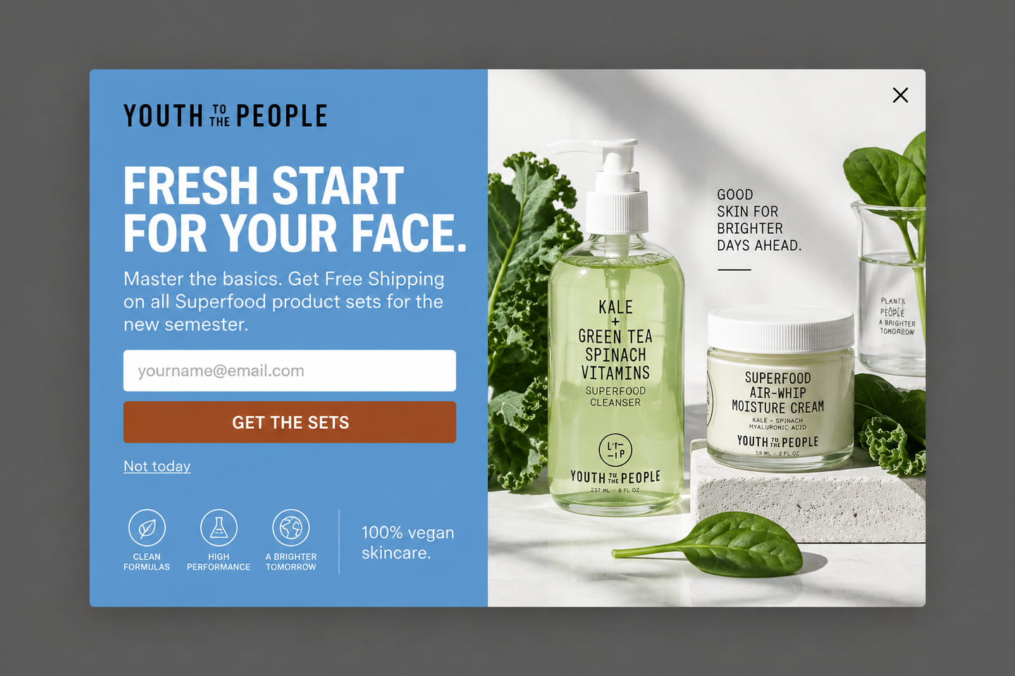 Superfood Scholar
