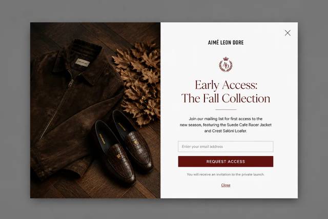 The Editorial Reveal — popup concept inspired by aimeleondore.com