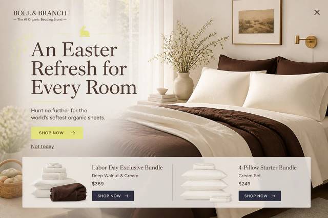 Spring Morning Sun — popup concept inspired by bollandbranch.com