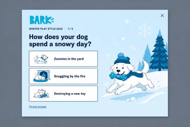 Frozen Finds Quiz — popup concept inspired by bark.co