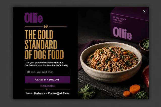 The Editorial Luxe — popup concept inspired by ollie.com