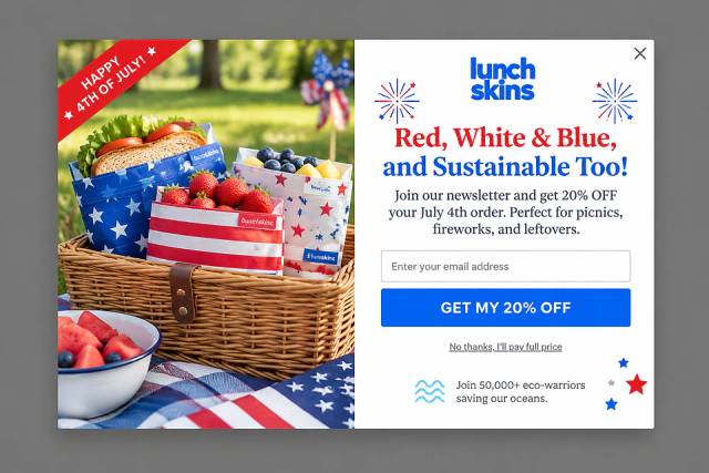 The Patriotic Picnic — popup concept inspired by lunchskins.com