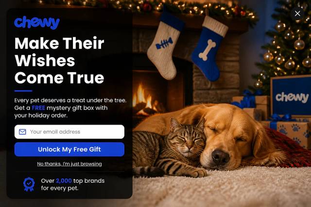 The Fullscreen Immersion — popup concept inspired by chewy.com