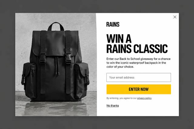 The Minimalist Classic — popup concept inspired by rains.com